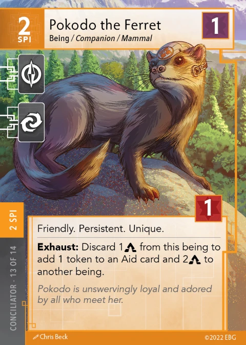 Pokodo the Ferret